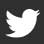 twitter icon